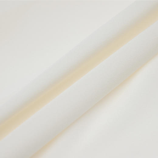 商场同款PURE TOUCH女装26春夏新款桑蚕丝白衬衫翻领长袖通勤衬衣 商品图7