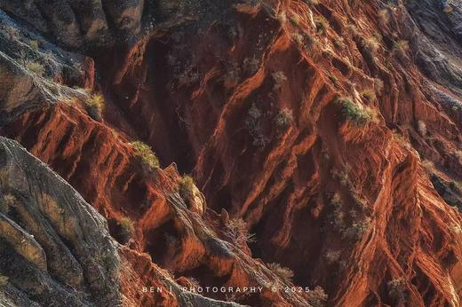 「优化版」新疆伊犁杏花（吐尔根+大西沟）、穿越天山胜利隧道、那拉提冰百合、库尔德宁云杉林、赛里木湖、安集海大峡谷8天摄影团 商品图6