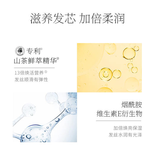 26年10月到期 青彩山茶五重精油滋养护发乳改善毛躁顺滑柔顺护发素养护受损干枯 商品图3