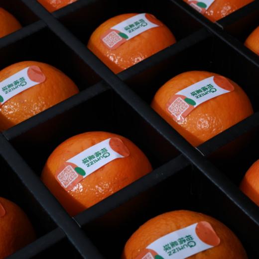 【京东发货】广州玫瑰柑水果礼盒 施用玫瑰花有机肥  皮薄肉厚 饱满多汁 高端年货水果礼盒 产地现摘现发 商品图9