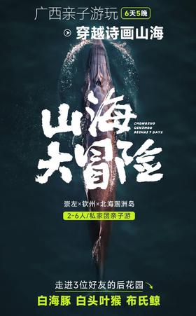 2.2-2.7号【山海大冒险】崇左+钦州+北海亲子6日游