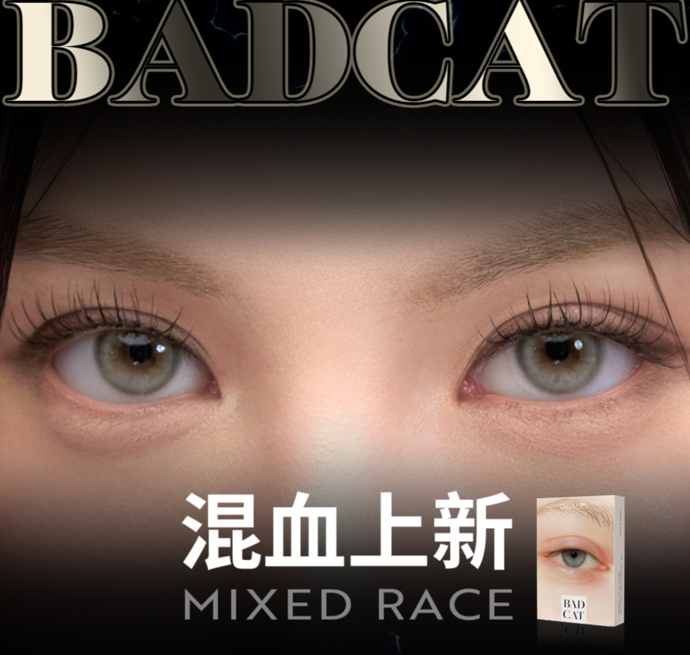 混血小直径新品BADCAT  日抛