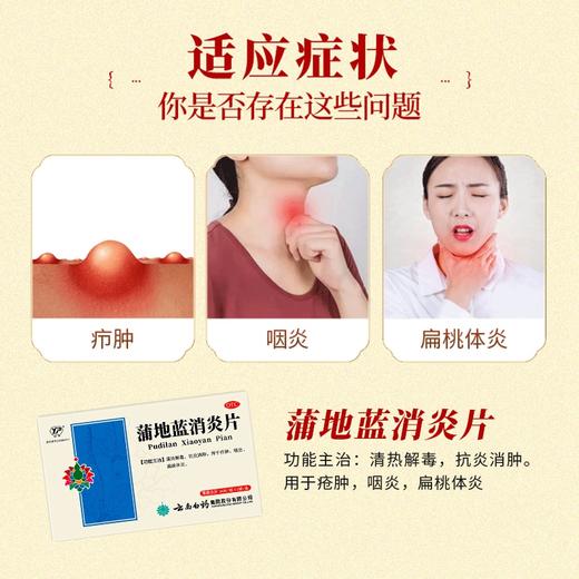 【官方正品】云南白药云丰蒲地蓝消炎片0.3g*24片/板*2板/盒 薄膜衣片 商品图3