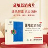 【官方正品】云南白药云丰蒲地蓝消炎片0.3g*24片/板*2板/盒 薄膜衣片 商品缩略图1