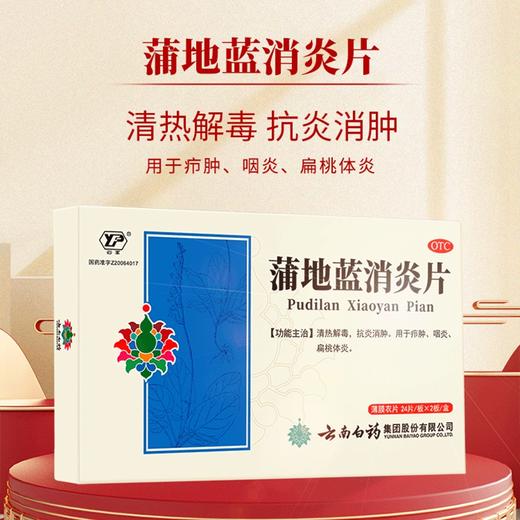【官方正品】云南白药云丰蒲地蓝消炎片0.3g*24片/板*2板/盒 薄膜衣片 商品图1