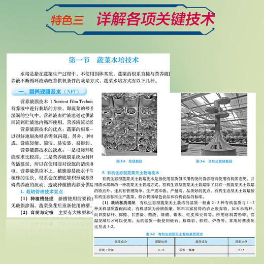 官网 蔬菜无土栽培关键技术 唐世凯 蔬菜无土栽培物联系统常用技术育苗技术专项技术水肥一体化技术书籍 商品图4