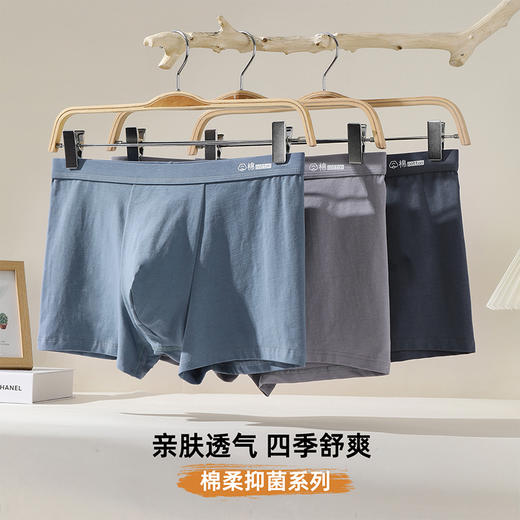 【3条装】雅黛俪男士内裤透气舒适含商蚕丝裆底四角裤头男生 商品图2