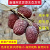 新疆阿克苏原生态灰枣新疆三彩葡萄干 商品缩略图0