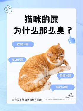 猫咪的粑粑真的太臭了