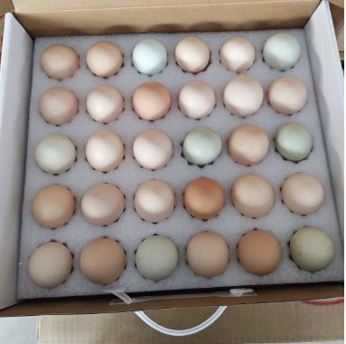 屈乡小农女 农家五彩鸡蛋30枚 秭归 商品图3
