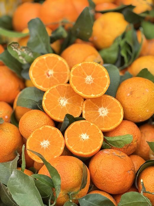 【2.8截单】年货节【5斤装】广西西林沙糖桔，顺丰【⚠️温馨提醒🔔快递路上冻坏不做售后】 商品图0