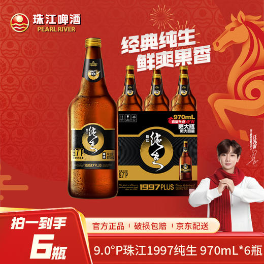 【新品上市】9.7°P珠江纯生啤酒(1997)970mL*6瓶装高人气酒水工厂直销 商品图0