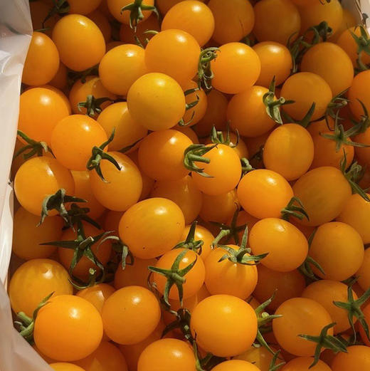 〔上海直发包邮06〕海南小番茄 商品图1