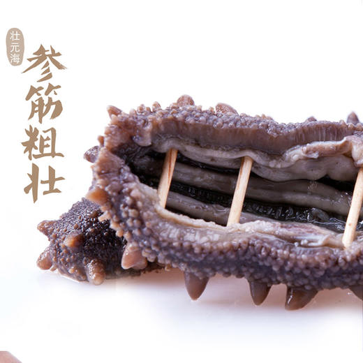 VY壮元海辽刺参特惠组 商品图3