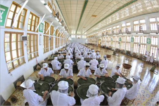 VY三砖两卷一天尖金芙蓉黑茶组 商品图1