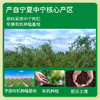 有机枸杞原浆210ml/盒 商品缩略图1