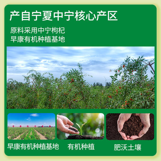 有机枸杞原浆210ml/盒 商品图1