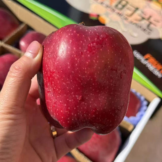 天水花牛苹果 商品图2