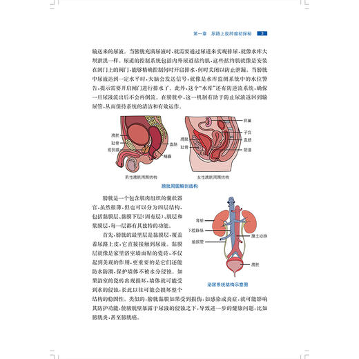 尿路上皮肿瘤科学防治与康复管理 曾蜀雄 张振声 主编 尿路上皮癌患者及家属 常见病治疗 9787547874950 上海科学技术出版社 商品图4