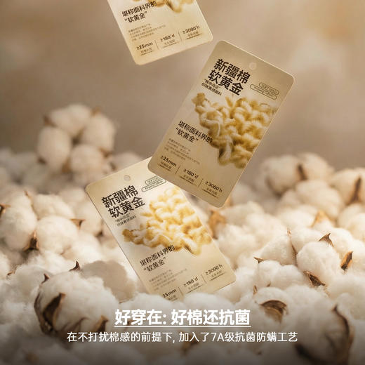 马登工装美式新疆棉卫衣紫色圆领套头无帽外穿宽松长袖外套男款春 商品图2