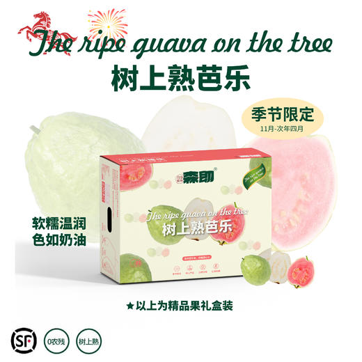 【3-5天发货】漳州奶油芭乐 口感如奶油 果味浓郁 甜度高 营养丰富  顺丰/京东 商品图0