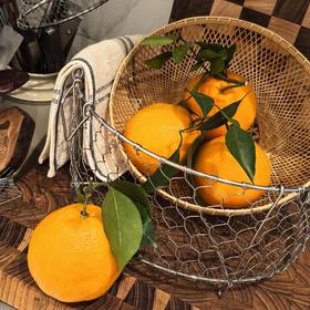 [屁侠推荐]四川春见耙耙柑 粒粒爆珠 少籽化渣  5斤/8斤/12枚 中果/大果