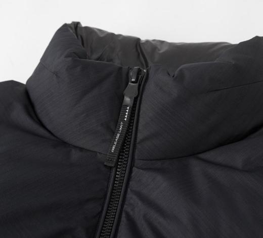 272223迪欧达法国白鸭绒蓬松立领男士羽绒服 商品图4