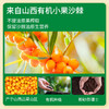 有机沙棘原浆210ml/盒 商品缩略图3