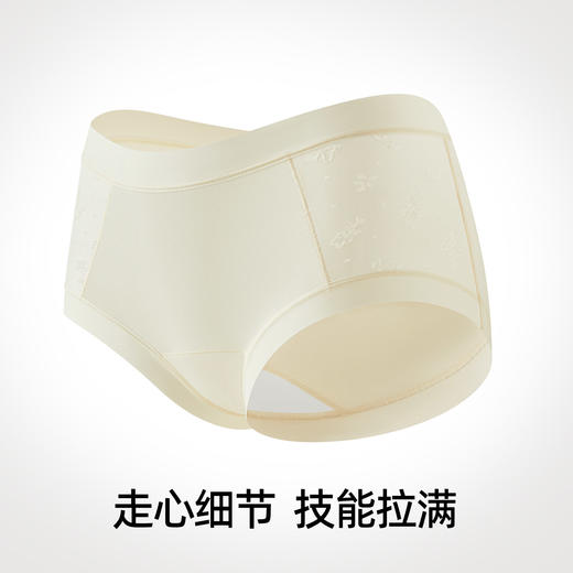 【新品上新】有棵树莫代尔抗菌全棉裆益生菌中腰女士三角内裤3条装-U3075 商品图2
