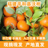 福建漳州平和县新鲜沃柑5斤/10斤礼盒装 商品缩略图0