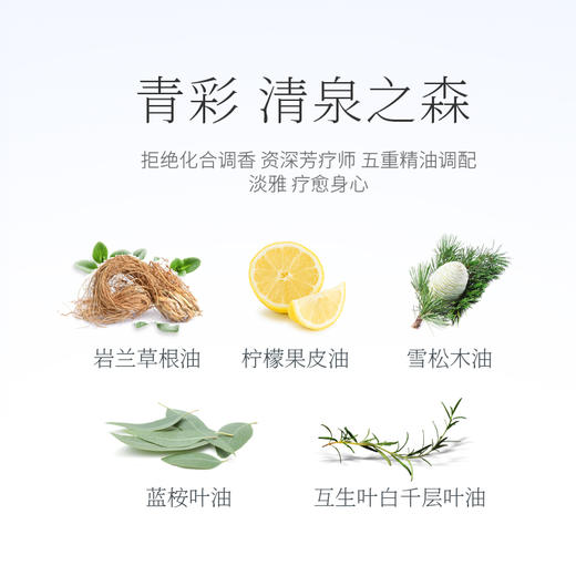 26年10月到期 青彩山茶五重精油滋养护发乳改善毛躁顺滑柔顺护发素养护受损干枯 商品图2