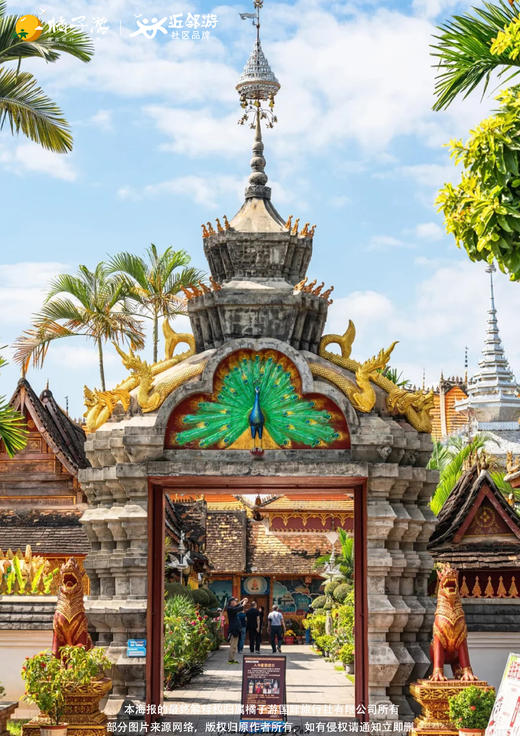 【云南】梦幻版纳双飞私家小团5天游 商品图1