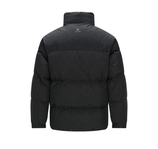 272223迪欧达法国白鸭绒蓬松立领男士羽绒服 商品图1