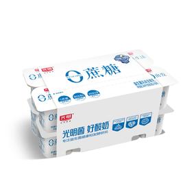 光明90g*16零蔗糖风味发酵乳