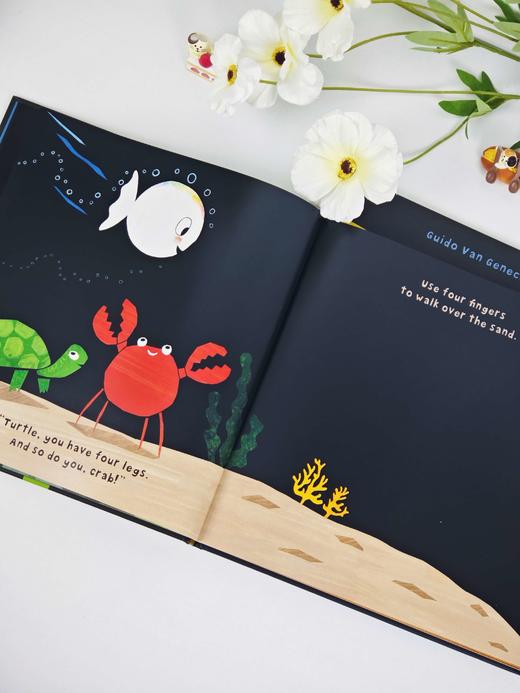 Little White Fish and His Playmates/ Is Born 精装两本 商品图1