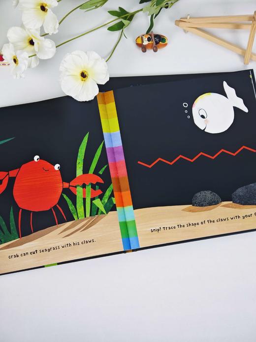 Little White Fish and His Playmates/ Is Born 精装两本 商品图5