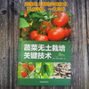 官网 蔬菜无土栽培关键技术 唐世凯 蔬菜无土栽培物联系统常用技术育苗技术专项技术水肥一体化技术书籍 商品缩略图1