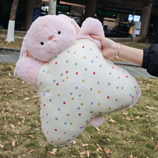 ZY豆袋抱枕-纪念日百货门店同款168898301 商品图1