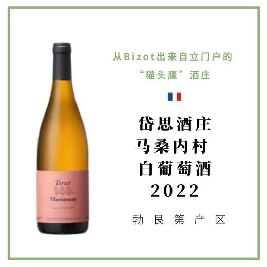 Maison Tercet 岱思酒庄 马桑内 白葡萄酒 商品图0