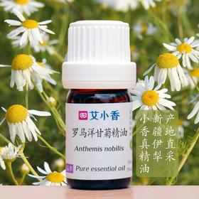 罗马洋甘菊精油 新疆伊犁产地 香气温柔入睡放松安抚