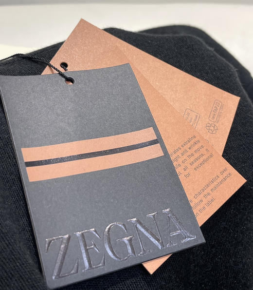 杰尼亚High Performace男士羊毛毛衣针织衫011601 商品图13