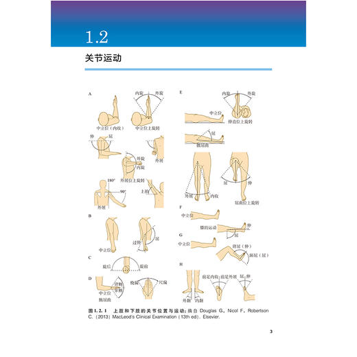 《肌肉骨骼疾病诊疗手册：临床实践指南》 商品图6