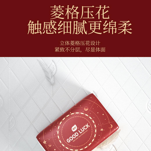 植护20包红韵新年大包抽纸家用实惠装整箱 商品图2