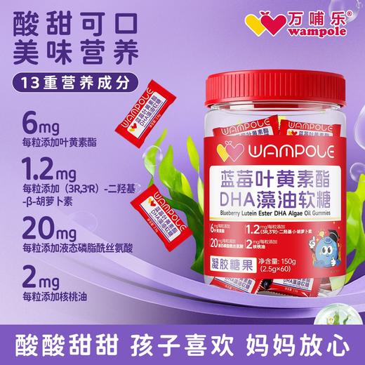万哺乐 蓝莓叶黄素酯DHA藻油软糖 商品图2