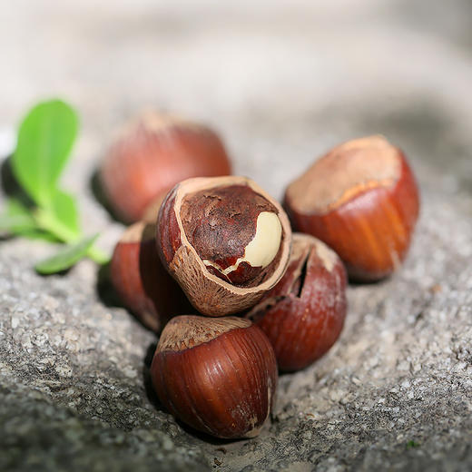 西域美农 东北开口大榛子 230g/罐 商品图3