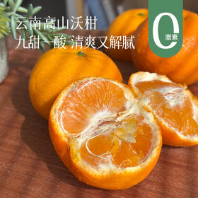 【特别福利29.9元4斤装！后面日常会涨价！】【新鲜成熟正当季 云南沃柑】行走的甜蜜水分炸弹‼ 农家肥灌溉，半野生品质~