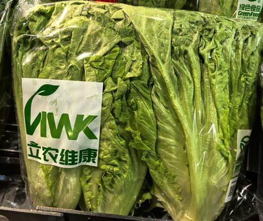 立农维康生菜 商品图0