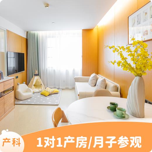 新客孕妈参观丨1对1服务丨套餐报价 商品图0