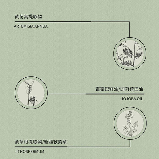 乐活田园黄花蒿紫草膏 商品图2