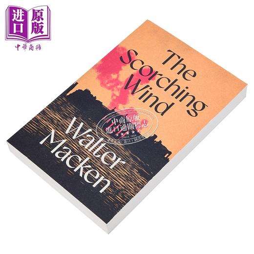 【中商原版】爱尔兰三部曲3 灼热的风 The Scorching Wind 英文原版 Walter Macken 畅销流行历史故事 爱尔兰故事 商品图1